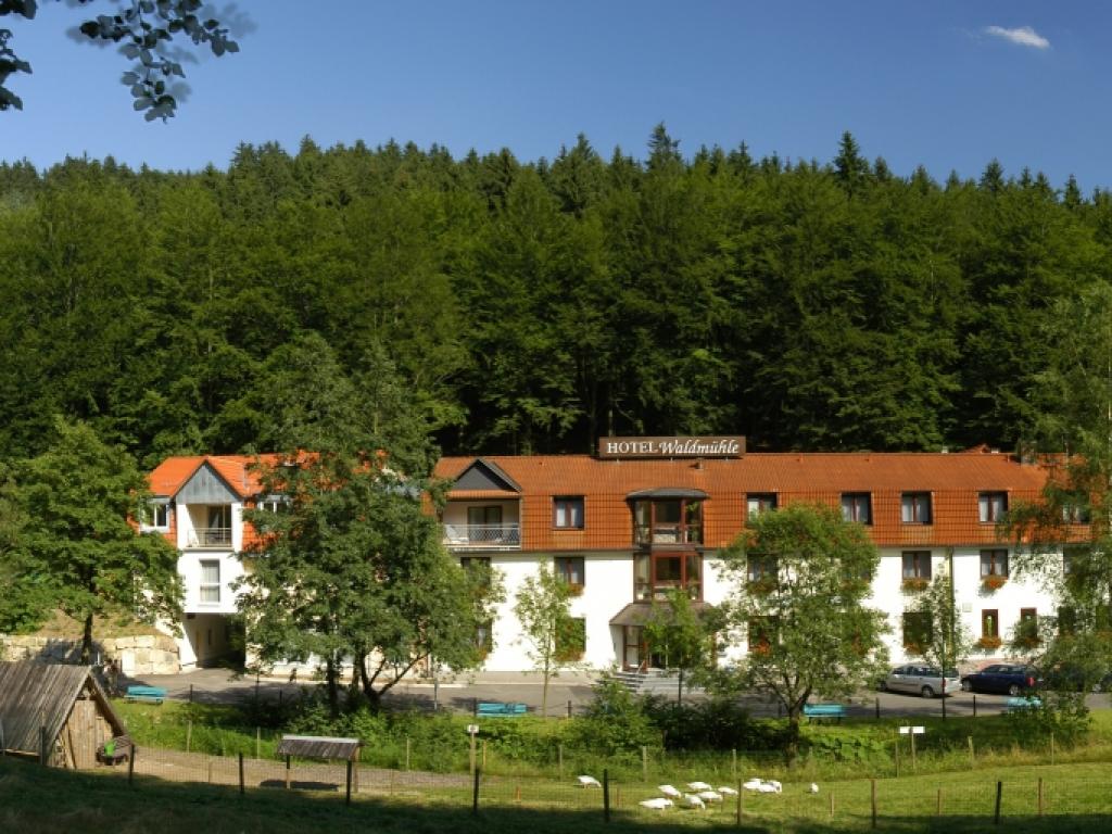 Hotel Waldmühle #1