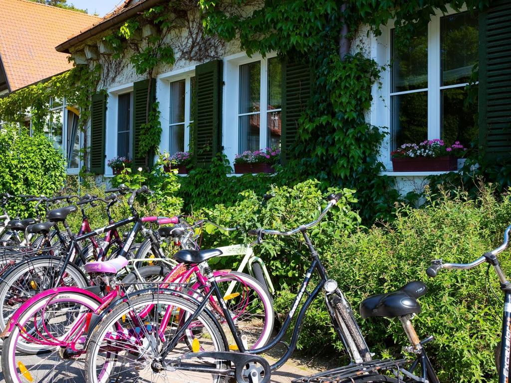 Hotel Döllnsee-Schorfheide