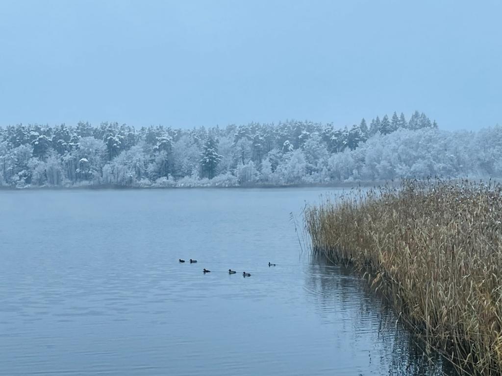 Hotel Döllnsee-Schorfheide