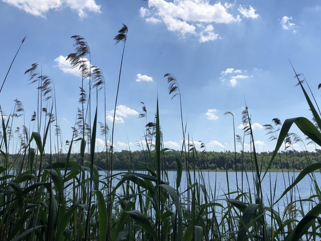 Hotel Döllnsee-Schorfheide