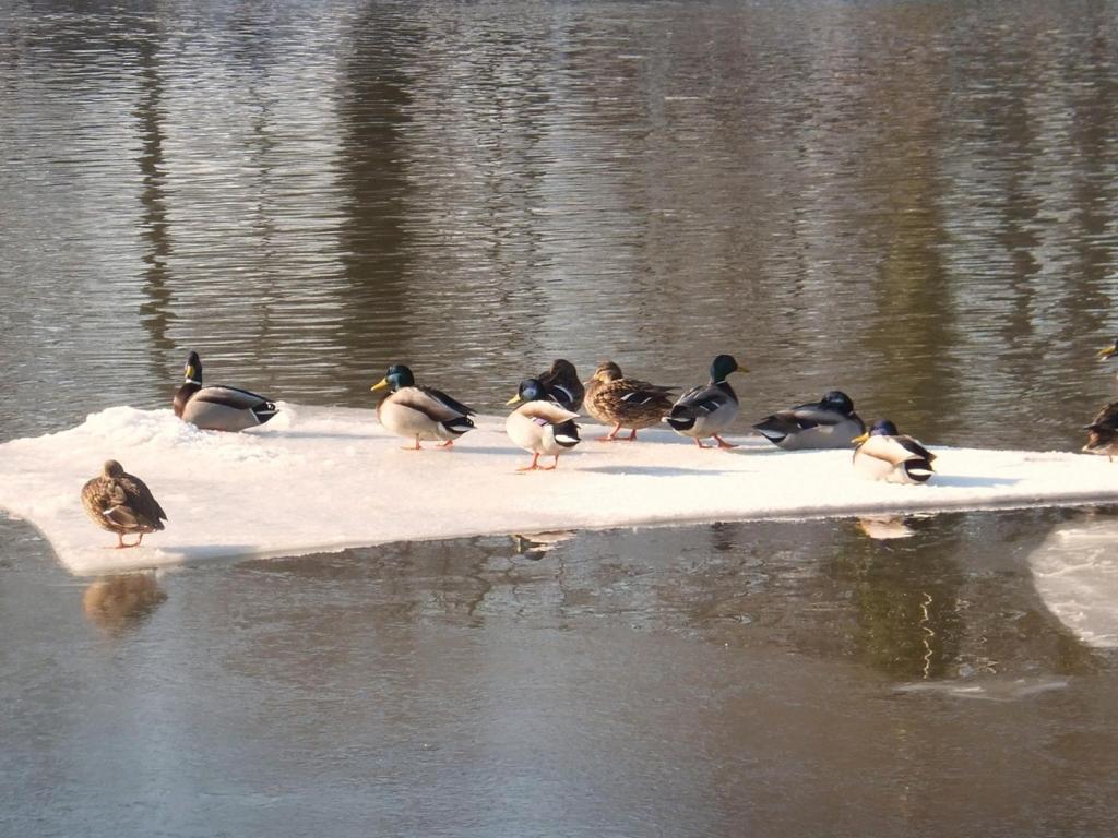 Hotel Döllnsee-Schorfheide