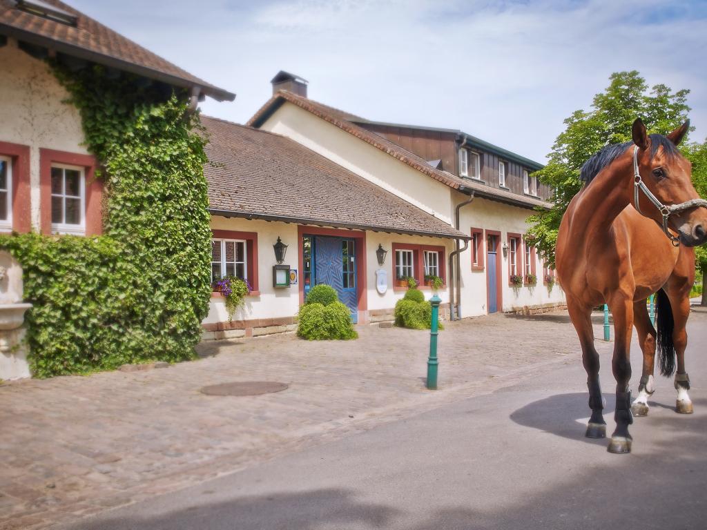 Der Linslerhof #7