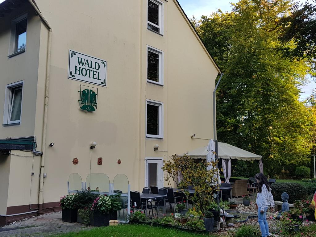 Wald-Hotel Garni #11